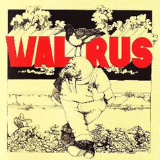 Walrus